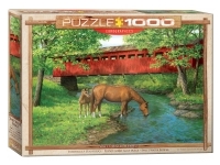 EuroGraphics: Sweet Water Bridge (1000)