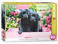 EuroGraphics: Large Pieces - Black Labs in Pink Box (500)