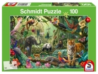 Schmidt: Colourful Jungle Wildlife (100)