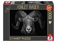 Schmidt: Ashley Rader - Dominance, Ram - The Epitome of Fire (1000)