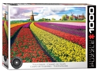 EuroGraphics: Tulip Fields (1000)